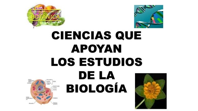 Ppt ciencias afines a la biología nov 2014