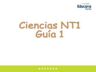 Ciencias NT1 Guía 1 