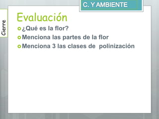 Evaluación
¿Qué es la flor?
Menciona las partes de la flor
Menciona 3 las clases de polinización
Cierre
 