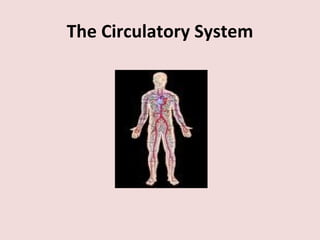 Ppt circulatory system | ODP