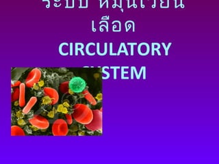 ระบบ หมุนเวียน
เลือด
CIRCULATORY
SYSTEM
 