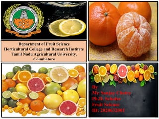 By
Mr. Sanjay Chetry
Ph.D. Scholar
Fruit Science
ID: 2020632001
Department of Fruit Science
Horticultural College and Research Institute
Tamil Nadu Agricultural University,
Coimbatore
 