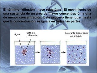 El término “difusión” hace relación a: El  movimiento de una sustancia de un área de mayor concentración a una de menor concentración. Este proceso tiene lugar hasta que la concentración se iguala en todas las partes. 