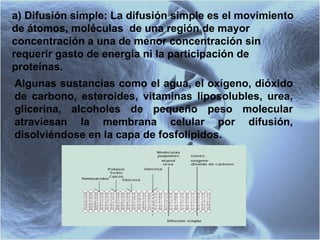 a) Difusión simple: La difusión simple es el movimiento de átomos, moléculas  de una región de mayor concentración a una de menor concentración sin requerir gasto de energía ni la participación de proteínas.  Algunas sustancias como el agua, el oxígeno, dióxido de carbono, esteroides, vitaminas liposolubles, urea, glicerina, alcoholes de pequeño peso molecular atraviesan la membrana celular por difusión, disolviéndose en la capa de fosfolípidos.   