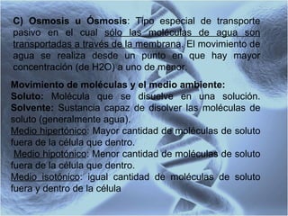 C) Osmosis u Ósmosis : Tipo especial de transporte pasivo en el cual  sólo las moléculas de agua son transportadas a través de la membrana . El movimiento de agua se realiza desde un punto en que hay mayor concentración (de H2O) a uno de menor.  Movimiento de moléculas y el medio ambiente: Soluto:  Molécula que se disuelve en una solución.  Solvente:  Sustancia capaz de disolver las moléculas de soluto (generalmente agua). Medio hipertónico : Mayor cantidad de moléculas de soluto fuera de la célula que dentro. Medio hipotónico : Menor cantidad de moléculas de soluto fuera de la célula que dentro.  Medio isotónico : igual cantidad de moléculas de soluto fuera y dentro de la célula   