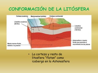 CONFORMACIÓN DE LA LITÓSFERA
• La corteza y resto de
litosfera “flotan” como
icebergs en la Astenosfera