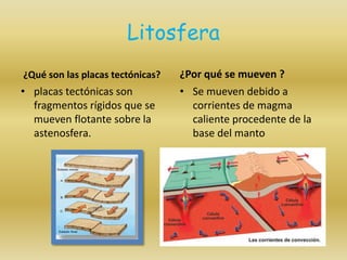 Litosfera
¿Qué son las placas tectónicas?
• placas tectónicas son
fragmentos rígidos que se
mueven flotante sobre la
astenosfera.
¿Por qué se mueven ?
• Se mueven debido a
corrientes de magma
caliente procedente de la
base del manto
•