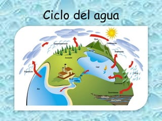 Ciclo del agua
 