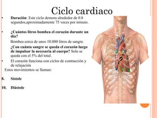 Ciclo cardiaco Duración : Este ciclo demora alrededor de 0.8 segundos, aproximadamente 75 veces por minuto. ¿Cuántos litros bombea el corazón durante un día? Bombea cerca de unos 10.000 litros de sangre. ¿Con cuánta sangre se queda el corazón luego de impulsar la necesaria al cuerpo?  Solo se queda con el 5% del total. El corazón funciona con ciclos de contracción y de relajación Estos movimientos se llaman: Sístole Diástole  