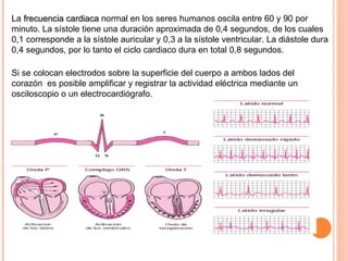 La  frecuencia cardiaca  normal en los seres humanos oscila entre 60 y 90 por minuto. La sístole tiene una duración aproximada de 0,4 segundos, de los cuales 0,1 corresponde a la sístole auricular y 0,3 a la sístole ventricular. La diástole dura 0,4 segundos, por lo tanto el ciclo cardiaco dura en total 0,8 segundos.  Si se colocan electrodos sobre la superficie del cuerpo a ambos lados del corazón  es posible amplificar y registrar la actividad eléctrica mediante un osciloscopio o un electrocardiógrafo. 