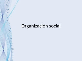 Organización social 
 