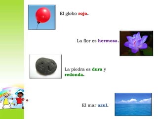 El globo rojo.La flor es hermosa.La piedra es dura y redonda.El mar azul.