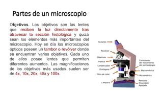 Partes de un microscopio
Objetivos. Los objetivos son las lentes
que reciben la luz directamente tras
atravesar la sección histológica y quizá
sean los elementos más importantes del
microscopio. Hoy en día los microscopios
ópticos poseen un tambor o revólver donde
se encuentran varios objetivos. Cada uno
de ellos posee lentes que permiten
diferentes aumentos. Las magnificaciones
de los objetivos más usados suelen ser
de 4x, 10x, 20x, 40x y 100x.
 