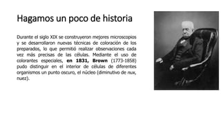 Hagamos un poco de historia
Durante el siglo XIX se construyeron mejores microscopios
y se desarrollaron nuevas técnicas de coloración de los
preparados, lo que permitió realizar observaciones cada
vez más precisas de las células. Mediante el uso de
colorantes especiales, en 1831, Brown (1773-1858)
pudo distinguir en el interior de células de diferentes
organismos un punto oscuro, el núcleo (diminutivo de nux,
nuez).
 