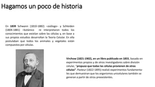 Hagamos un poco de historia
En 1839 Schwann (1810-1882) –zoólogo– y Schleiden
(1804-1881) –botánico re interpretaron todos los
conocimientos que existían sobre las células y, en base a
sus propios estudios desarrollan la Teoría Celular. En ella
postulaban que todos los animales y vegetales están
compuestos por células.
Virchow (1821-1902), en un libro publicado en 1855, basado en
experimentos propios y de otros investigadores sobre división
celular, “propuso que todas las células provienen de otras
células”. Pasteur (1822-1895) realizó experimentos fundamenta-
les que demuestran que los organismos unicelulares también se
generan a partir de otros preexistentes.
 
