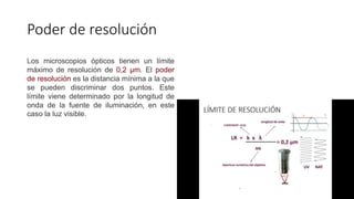 Poder de resolución
Los microscopios ópticos tienen un límite
máximo de resolución de 0,2 µm. El poder
de resolución es la distancia mínima a la que
se pueden discriminar dos puntos. Este
límite viene determinado por la longitud de
onda de la fuente de iluminación, en este
caso la luz visible.
 