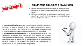 a) Permite mantener constante el número de cromosomas de
generación en generación en las especies con reproducción
sexual.
b) b)Permite multiplicar la variabilidad genética (materia prima
sobre la que actúa la evolución), ya que las cuatro células que se
forman son distintas debido a:
c) Recombinación génica que permite obtener cromátidas homólogas
distintas a la paterna y materna por el sobrecruzamiento o crosing-
over de la profase I. Estas combinaciones nuevas de genes favorecen
la variabilidad en la descendencia y un mayor poder adaptativo.
d) Segregación cromosómica que es la combinación al azar de cada
cromosoma homólogo con una de las dos parejas de los otros
homólogos en la 1ª división y a la combinación al azar de cromátidas
no homólogas en la 2ª división; se pueden originar 2n combinaciones
distintas, siendo n el número de parejas de cromosomas. La
consecuencia es una gran variedad de gametos
SIGNIFICADO BIOLÓGICO DE LA MEIOSIS.
 