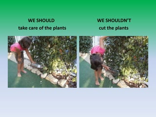 WE SHOULDtake care of the plants    WE SHOULDN’Tcut the plants