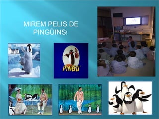 MIREM PELIS DE
PINGÜINS!
 