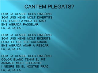 CANTEM PLEGATS?
SOM LA CLASSE DELS PINGÜINS
SOM UNS NENS MOLT DIVERTITS.
PER LA NEU A VORA EL MAR
ENS AGRADA PASSEJAR.
LA, LA, LA, LA….
SOM LA CLASSE DELS PINGÜINS
SOM UNS NENS MOLT EIXERITS.
SOTA EL GEL ELS CALAMARS
ENS AGRADA ANAR A PESCAR.
LA, LA, LA, LA….
SOM LA CLASSE DELS PINGÜINS
COLOR BLANC TENIM EL PIT.
ANIMALS MOLT ELEGANTS
I NEGRE ÉS EL NOSTRE FRAC.
LA, LA, LA, LA….
 