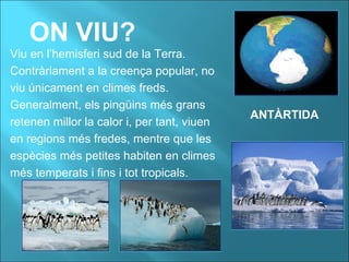 ON VIU?
Viu en l’hemisferi sud de la Terra.
Contràriament a la creença popular, no
viu únicament en climes freds.
Generalment, els pingüins més grans
retenen millor la calor i, per tant, viuen
en regions més fredes, mentre que les
espècies més petites habiten en climes
més temperats i fins i tot tropicals.
ANTÀRTIDA
 