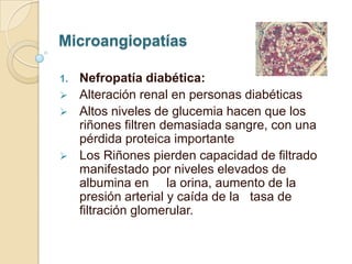 Microangiopatías
1. Nefropatía diabética:
 Alteración renal en personas diabéticas
 Altos niveles de glucemia hacen que los
riñones filtren demasiada sangre, con una
pérdida proteica importante
 Los Riñones pierden capacidad de filtrado
manifestado por niveles elevados de
albumina en la orina, aumento de la
presión arterial y caída de la tasa de
filtración glomerular.
 