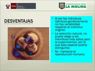 Al ser los individuos idénticos genéticamente no hay variabilidad respecto al individuo original. La selección natural, no puede elegir a los individuos más aptos para la supervivencia, por lo que esta especie podría extinguirse. Se  manipula la reproducción humana. 