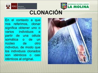 CLONACIÓN   En el contexto a que nos referimos, clonar significa obtener uno o varios individuos a partir de una célula somática o de un núcleo de otro individuo, de modo que los individuos clonados son idénticos o casi idénticos al original.   