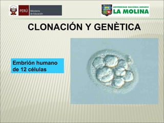Embrión humano de 12 células   CLONACIÓN  Y GENÈTICA 