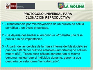 PROTOCOLO UNIVERSAL PARA CLONACIÓN REPRODUCTIVA   1.- Transferencia por microinyección de un núcleo de célula somática a un óvulo enucleado.  2.- Se dejaría desarrollar el embrión  in vitro  hasta una fase previa a la de implantación.  3.- A partir de las células de la masa interna del blastocisto se pueden establecer cultivos estables (inmortales) de células madre (ES). Todas esas células contendrían el mismo genoma nuclear que el individuo donante, genoma que quedaría de esta forma “inmortalizado”.  