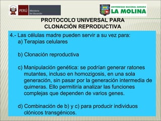 4.- Las células madre pueden servir a su vez para:  Terapias celulares  b) Clonación reproductiva  c) Manipulación genética: se podrían generar ratones mutantes, incluso en homozigosis, en una sola generación, sin pasar por la generación intermedia de quimeras. Ello permitiría analizar las funciones complejas que dependen de varios genes.  d) Combinación de b) y c) para producir individuos clónicos transgénicos.  PROTOCOLO UNIVERSAL PARA CLONACIÓN REPRODUCTIVA   