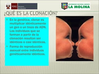 En la genética, clonar es multiplicar idénticamente un gen o un trozo de ADN. Los individuos que se forman a partir de la clonación resultan ser idénticos o casi idénticos. Forma de reproducción asexual entre individuos genéticamente idénticos. 