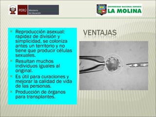 Reproducción asexual: rapidez de división y simplicidad, se coloniza antes un territorio y no tiene que producir células sexuales.  Resultan muchos individuos iguales al original. Es útil para curaciones y mejorar la calidad de vida de las personas. Producción de órganos para transplantes. 