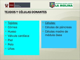 Tejidos: Córnea  Hueso  Válvula cardíaca  Piel  Pelo  Uñas  Células: Células de páncreas  Células madre de médula ósea  