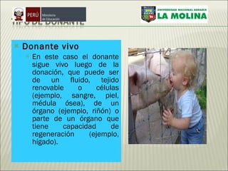 Donante vivo En este caso el donante sigue vivo luego de la donación, que puede ser de un fluido, tejido renovable o células (ejemplo, sangre, piel, médula ósea), de un órgano (ejemplo, riñón) o parte de un órgano que tiene capacidad de regeneración (ejemplo, hígado). 