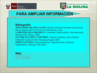 PARA AMPLIAR INFORMACIÓN Bibliografía: MINISTERIO DE EDUCACION,  Diseño Curricular Nacional de Educación Básica Regular (DCN), Proceso de Articulación, Lima. GARDNER-GRAY-ORAHILLY:  Anatomía. Quinta edición. Interamericana. McGraw-Hill. México.2000. VICTOR PAUCHET Y S.DUPRET:  Atlas de Anatòmia. Sexta Ediciòn.  Editorial Gustavo Gilir . Barcelona-España 2005. PEREZ SANCHES:  Ginecoobstetricia. Segunda edición. Editorial Mediterráneo. Santiago-Chile.2003. Web: http://www.minsa http://www.essalud 