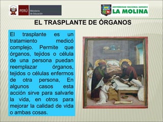EL TRASPLANTE DE ÓRGANOS  El trasplante es un tratamiento medicó complejo. Permite que órganos, tejidos o célula de una persona puedan reemplazar órganos, tejidos o células enfermos de otra persona, En algunos casos esta acción sirve para salvarle la vida, en otros para mejorar la calidad de vida o ambas cosas.  