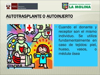 Cuando el donante y receptor son el mismo individuo. Se utiliza fundamentalmente en caso de tejidos: piel, hueso, vasos, o médula ósea  