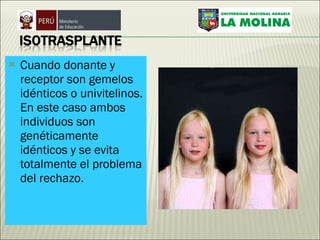 Cuando donante y receptor son gemelos idénticos o univitelinos. En este caso ambos individuos son genéticamente idénticos y se evita totalmente el problema del rechazo. 