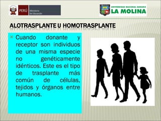 Cuando donante y receptor son individuos de una misma especie no genéticamente idénticos. Este es el tipo de trasplante más común de células, tejidos y órganos entre humanos. 