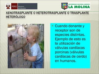 Cuando donante y receptor son de especies distintas. Ejemplo de esto es la utilización de válvulas cardíacas porcinas (válvulas cardíacas de cerdo) en humanos. 