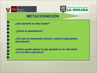 METACOGNICIÓN ¿Qué aprendí en esta sesión? ¿Cómo lo aprendimos? ¿Por qué es importante conocer nuestra organización estructural? ¿Cómo puedo aplicar lo que aprendí en mi vida diaria y en mi labor educativa? 