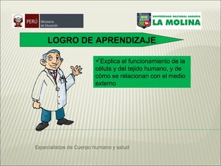 Especialistas de Cuerpo humano y salud LOGRO DE APRENDIZAJE Explica el funcionamiento de la célula y del tejido humano, y de cómo se relacionan con el medio externo 