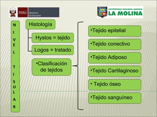 N I VE L T I SUL A  R Clasificación de tejidos Tejido sanguíneo Tejido óseo  Tejido conectivo   Tejido epitelial Tejido Adiposo Tejido Cartilaginoso Histología Hystos = tejido Logos = tratado 