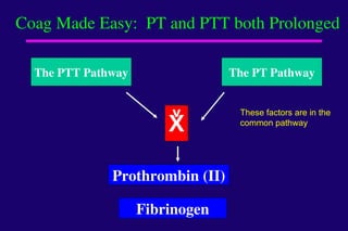 Prolonged Pt Algorithm Coagulation Made Easy by Dr Alice Ma powerpoint | PPT