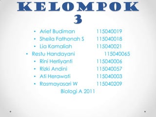 Kelompok
    3
   • Arief Budiman            115040019
   • Sheila Fathonah S        115040018
   • Lia Kamaliah          ...