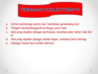 PERANAN COELENTERATA


a. Untuk melindungi pantai dari hantaman gelombang laut
b. Tempat berkembangbiak berbagai jenis ika...