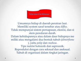 Sifat dan Ciri Khusus



      Umumnya hidup di daerah perairan laut.
     Memiliki system saraf tersebar atau diffus.
Tid...