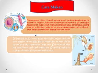 Cara Makan


            Coelenterata hidup di perairan yang jernih yang mengandung partik
            el-pertikel organik...