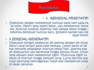 Reproduksi

                          • 1. ASEKSUAL (VEGETATIF)
• Dilakukan dengan membentuk kuncup pada kaki pada fa
   s...